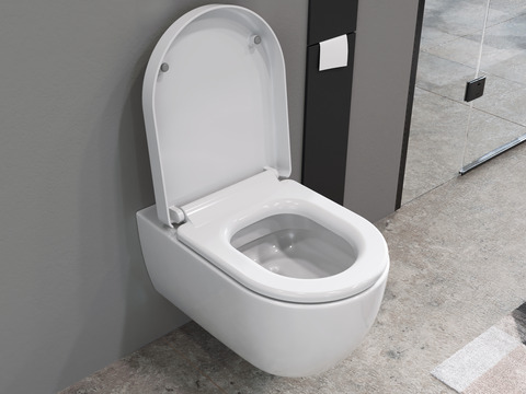 Wand Hänge WC Toilette - spülrandlos - inkl....