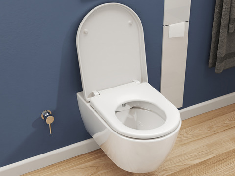 SSWW Alpha Design Hänge-Dusch-WC spülrandlos...