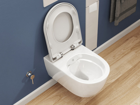 SSWW Alpha Design Hänge-Dusch-WC spülrandlos...