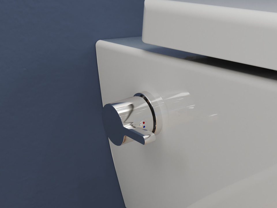 Wand Dusch WC Taharet - mit abnehmbaren Softclose Toiletten-Sitz - Bidet - Keramik - CT2019V-B