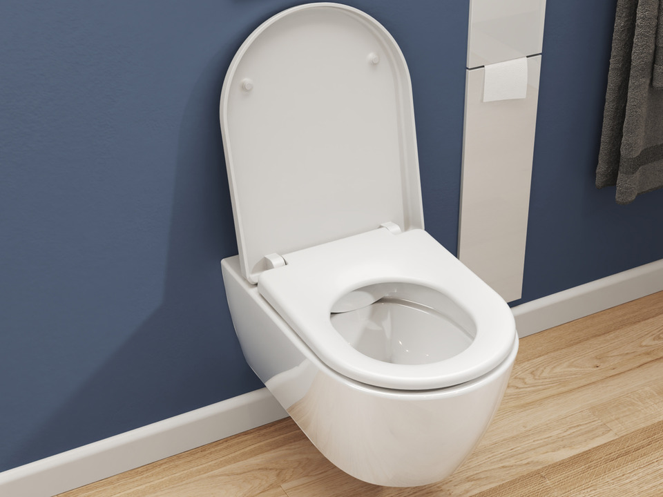 Wand H&auml;nge WC Toilette - sp&uuml;lrandlos - inkl. abnehmbaren Softclose Toiletten-Sitz - Keramik - CT-2039
