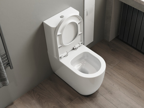 Stand WC Toilette - spülrandlos - inkl. abnehmbaren...