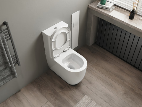 Stand WC Toilette - spülrandlos - inkl. abnehmbaren...