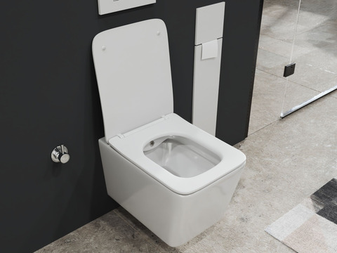 SSWW by Aqua Bagno Delta 2.0 Spülrandloses Dusch-WC...