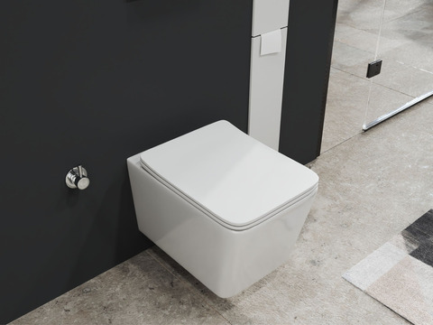 SSWW by Aqua Bagno Delta 2.0 Spülrandloses Dusch-WC...