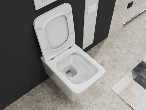 SSWW by Aqua Bagno Delta 2.0 Spülrandloses WC inkl....