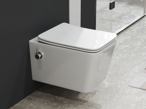 SSWW by Aqua Bagno Delta 2.0 Spülrandloses Dusch-WC...