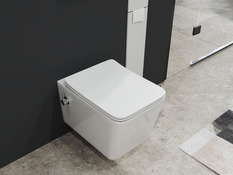 SSWW by Aqua Bagno Delta 2.0 Spülrandloses Dusch-WC...