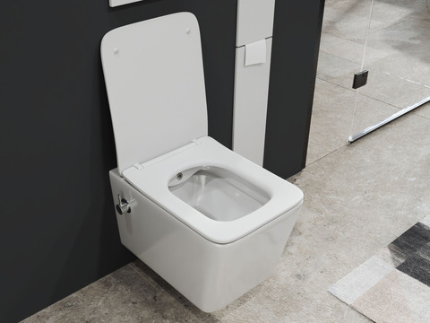 SSWW by Aqua Bagno Delta 2.0 Spülrandloses Dusch-WC...